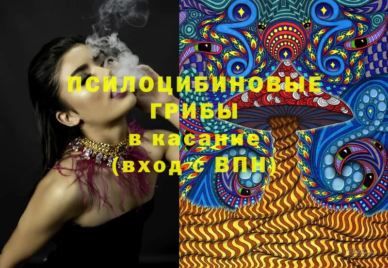 Псилоцибиновые грибы MAGIC MUSHROOMS  закладка  Хотьково 